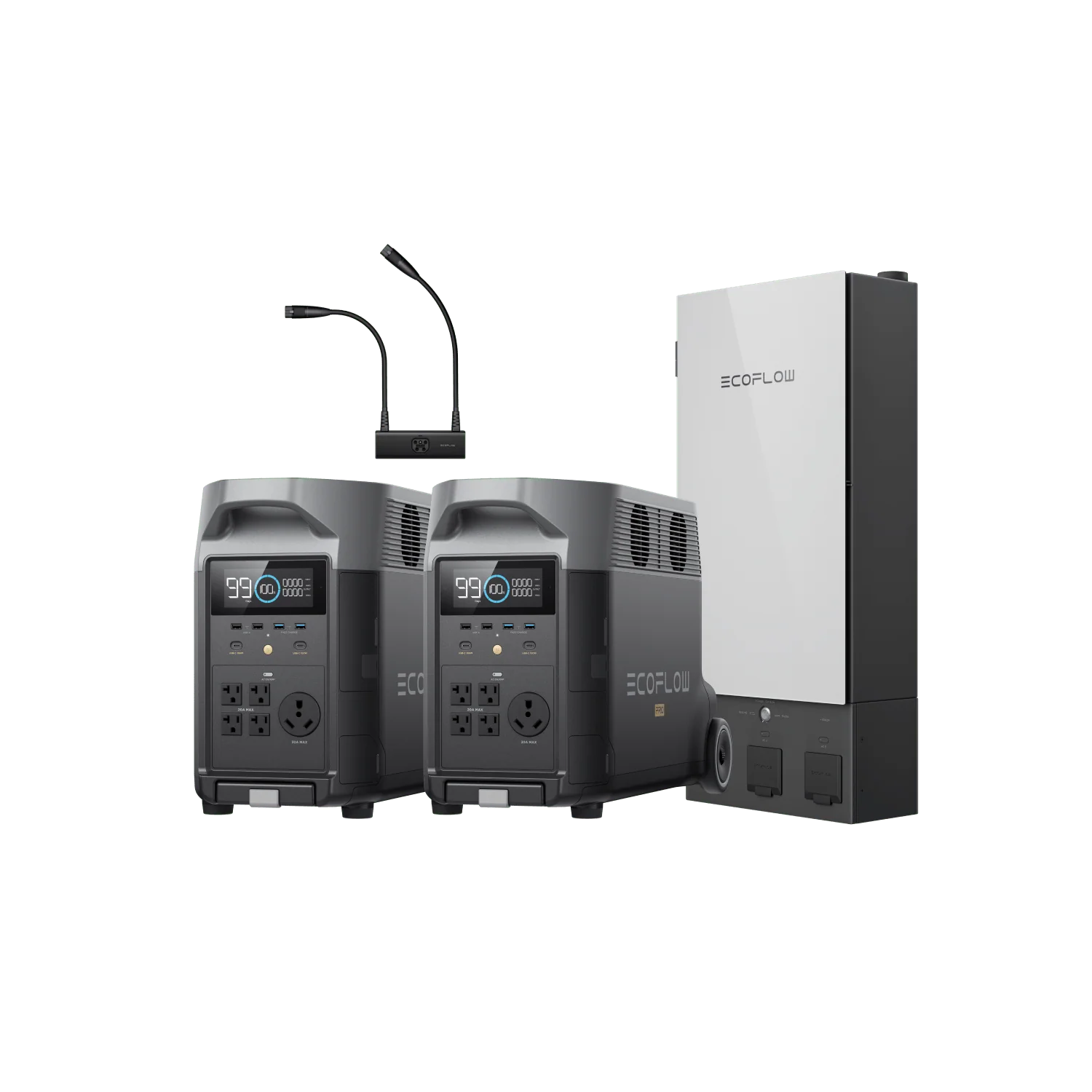 EcoFlow DELTA Pro*2 + Double Voltage Hub - Image 2